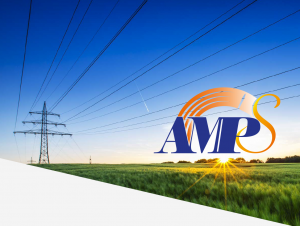 automated electricity profile submission