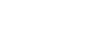 ART Software Group